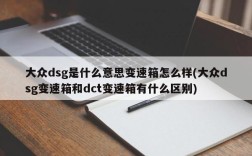 大众dsg是什么意思变速箱怎么样(大众dsg变速箱和dct变速箱有什么区别)