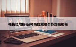 帕梅拉燃脂操/帕梅拉减肥全身燃脂视频