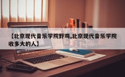 【北京现代音乐学院野鸡,北京现代音乐学院收多大的人】