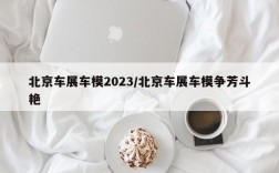 北京车展车模2023/北京车展车模争芳斗艳
