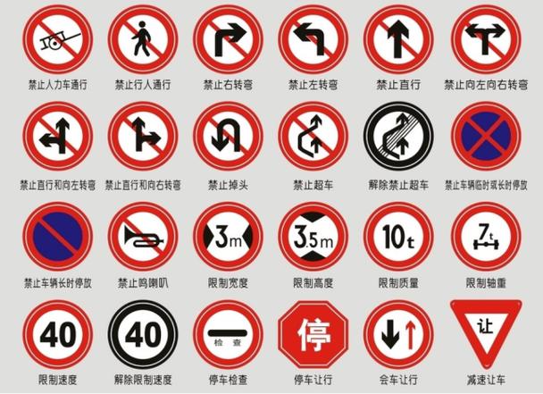 驾驶证科目1(驾驶证科目1题库2025)