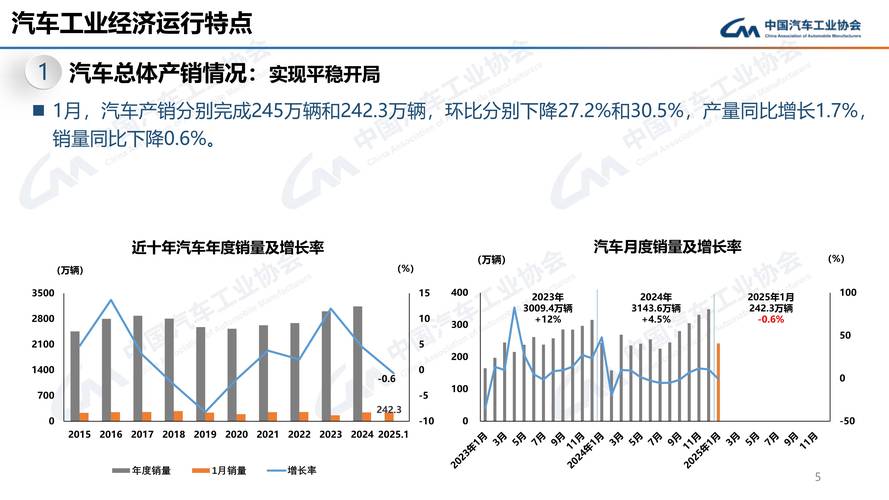 2025年1月汽车销量出炉(2025年汽车销售)